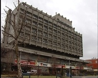 11-pelikan
