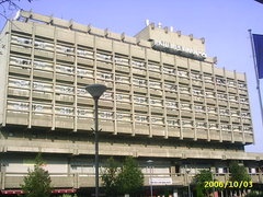 11-pelikan2