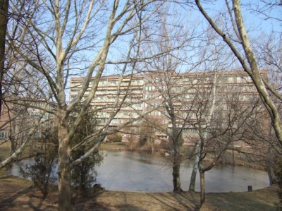 pityo_400